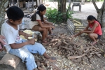 Workshop jornalistas desmatamento na Amazonia PA Moju 7852